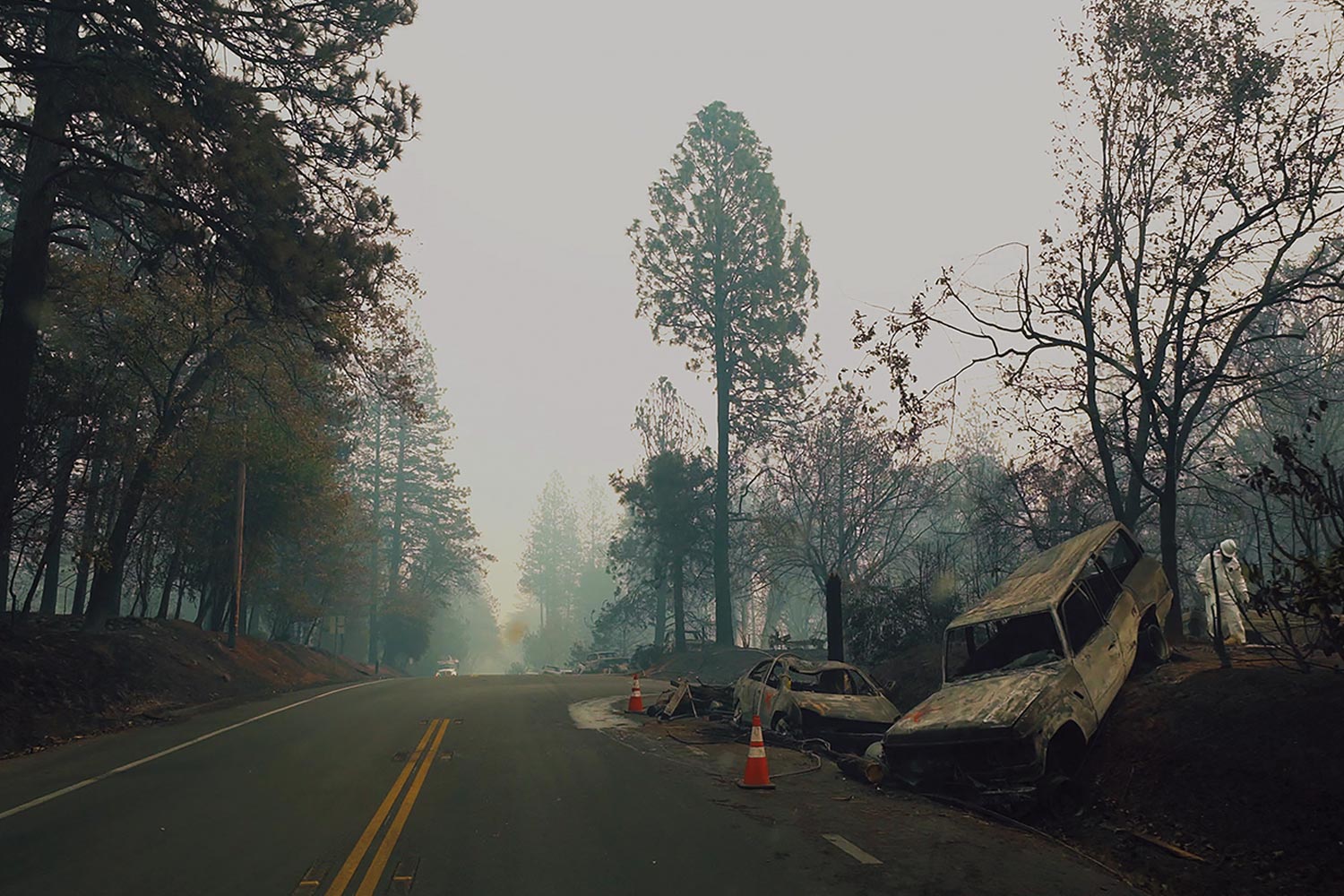 Image of rescuers looking through charred remains following a fire