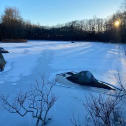 Snow covered pond in Native Plant Collection