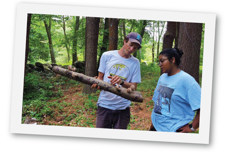 Two people inspecting mushrooms