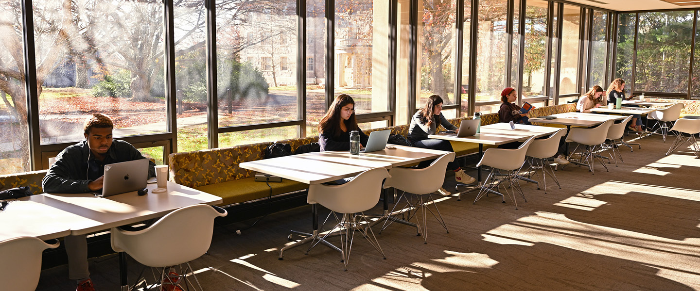 Students studying in the library