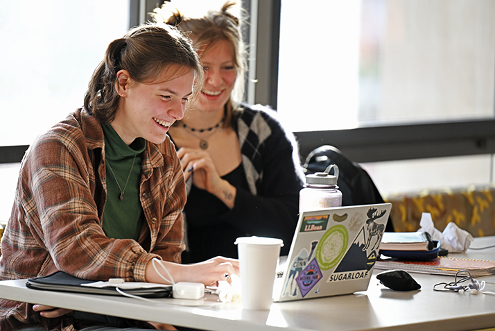 Students study in the library.