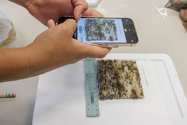 A 3D plate sample is analyzed in the lab.