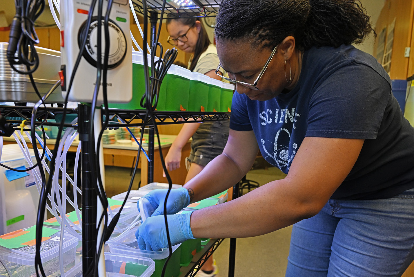 Summer science students study ghost shrimp in a lab