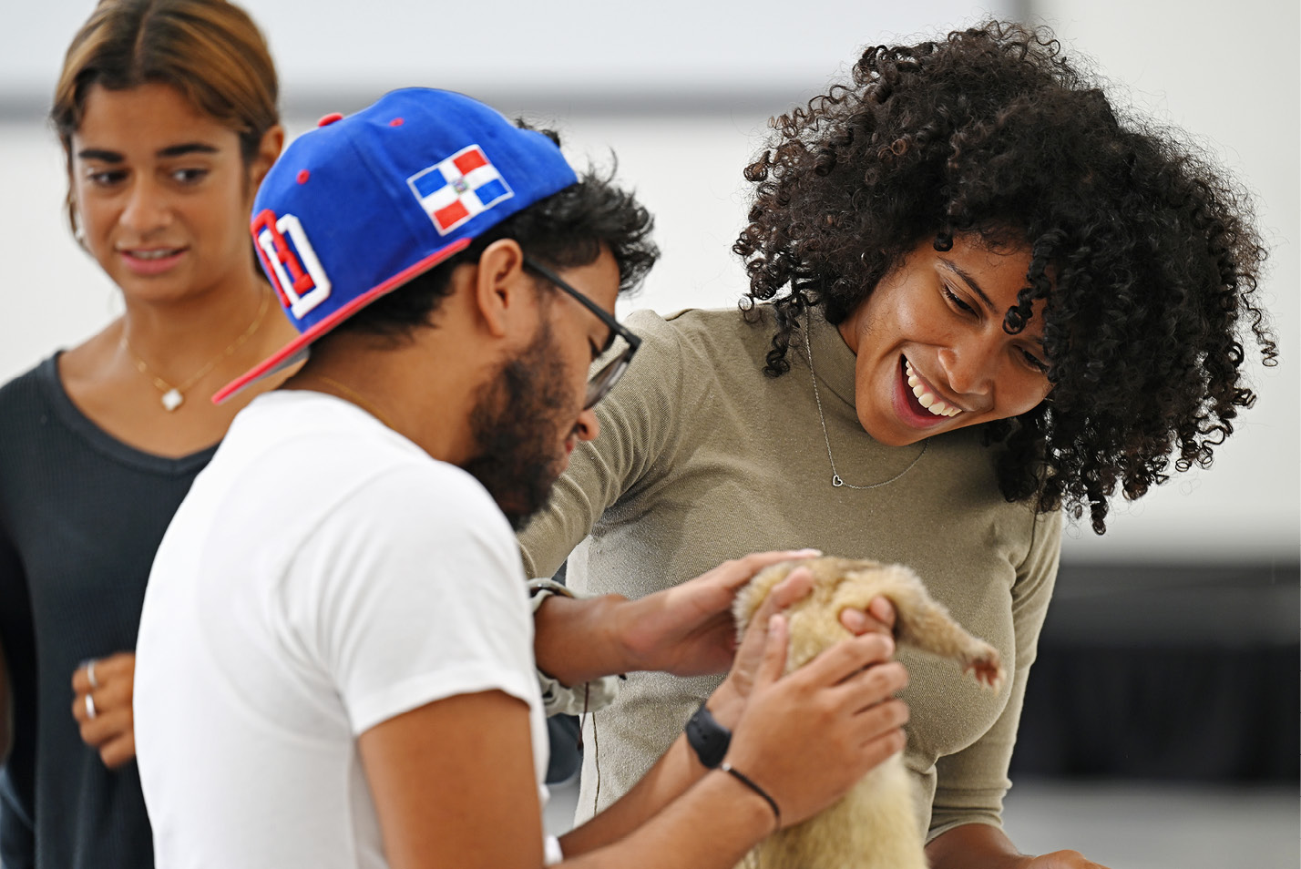 Students petting therapy animals