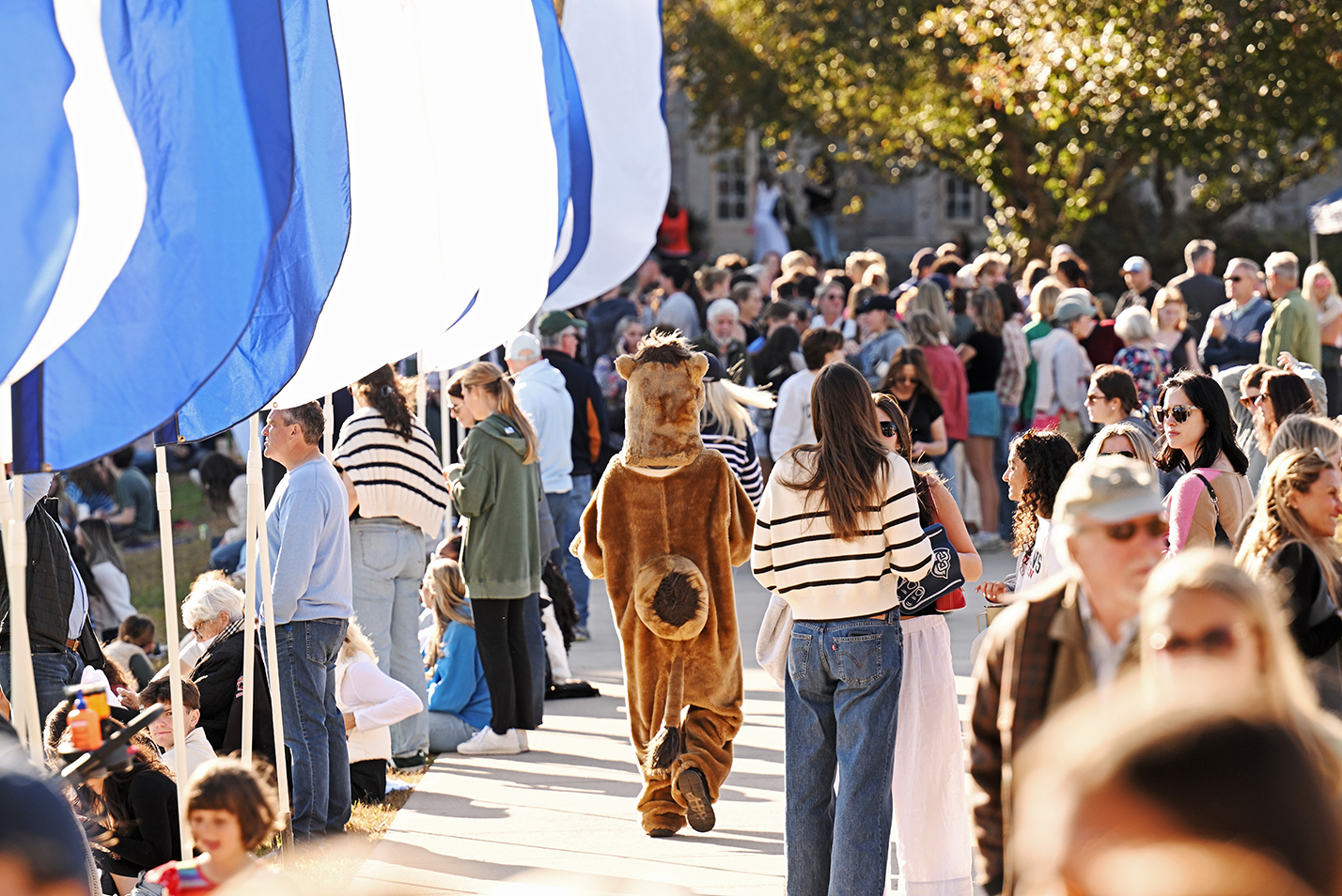 A camel mascot walks through a crowd of soccer fans.